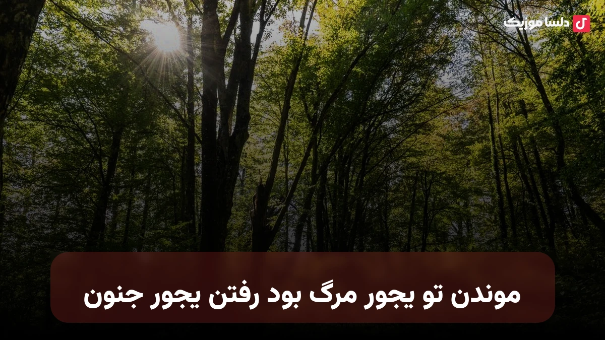 موندن تو یجور مرگ بود رفتن یجور جنون صدای زن
